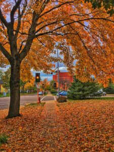 Fall Colors in Eau Claire